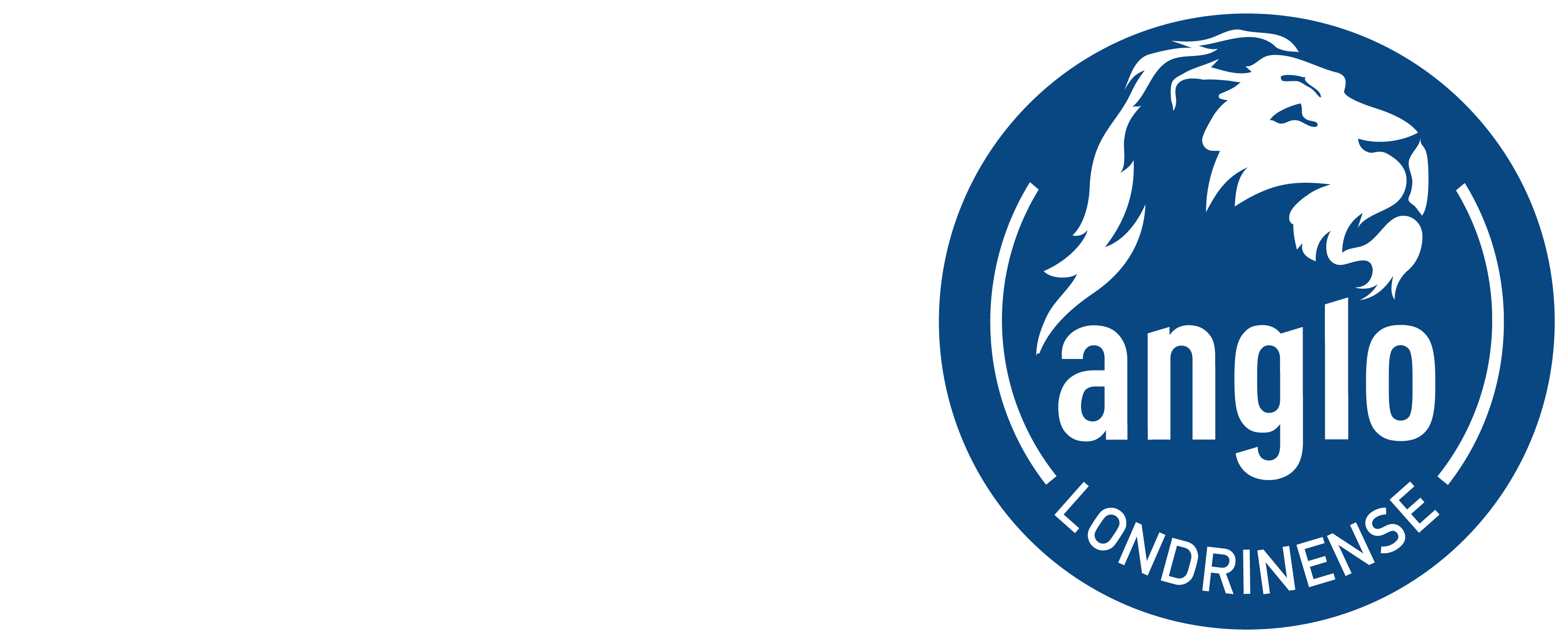 Logo da escola