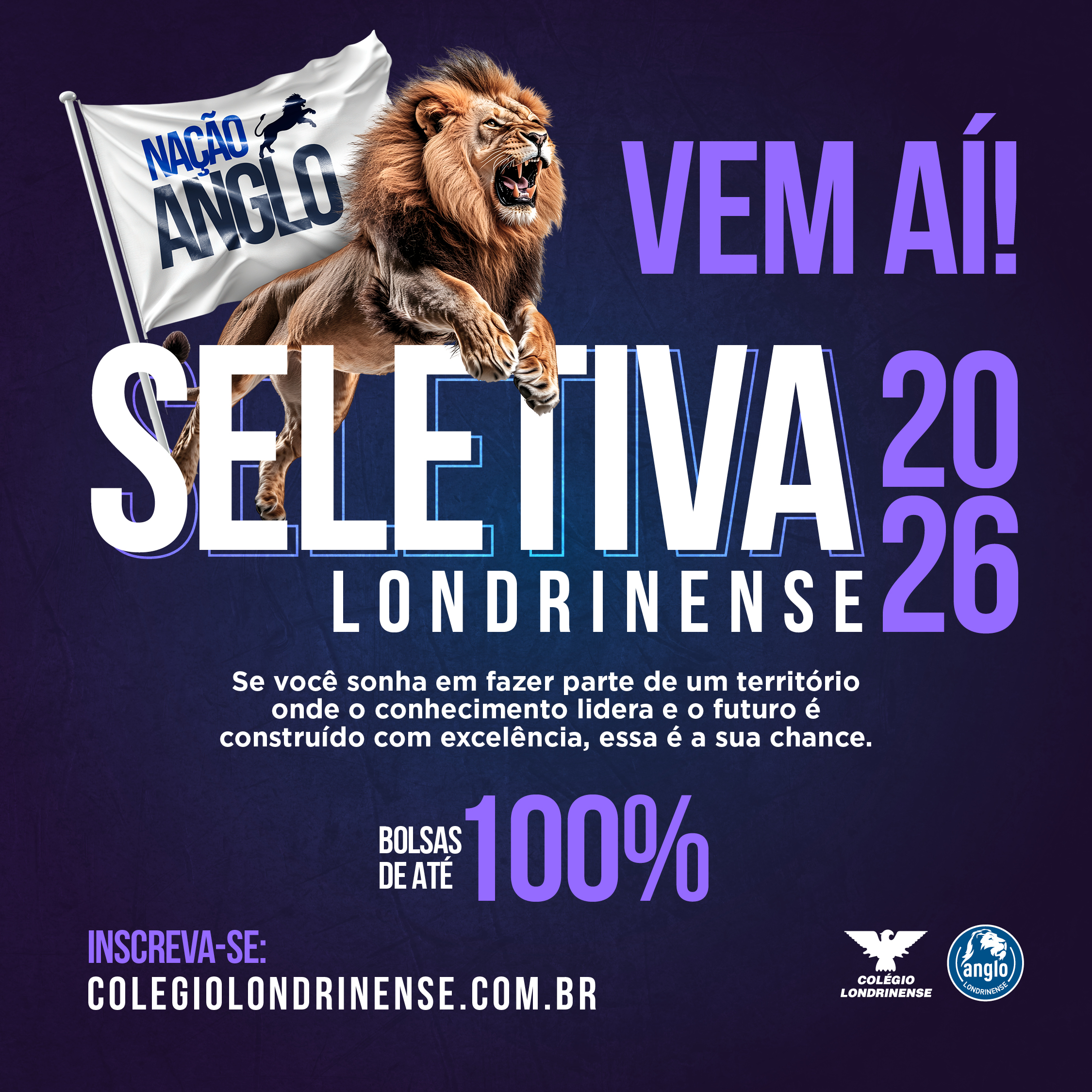 Imagem popup
